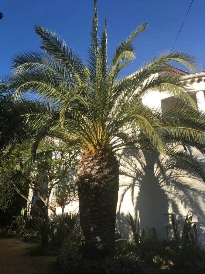 Rez de Villa du Pébrier Fréjus Exterior foto