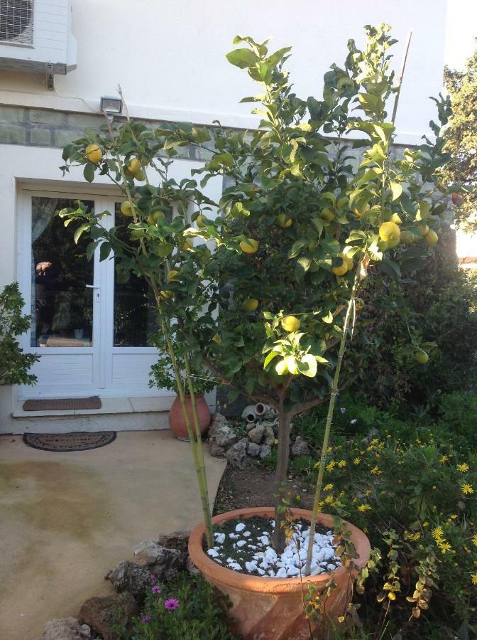 Rez de Villa du Pébrier Fréjus Exterior foto